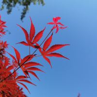 評論圖片 8