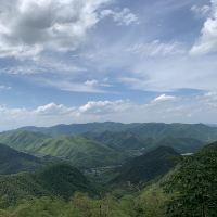 評論圖片 2