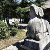 評論圖片 4