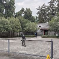 評論圖片 9