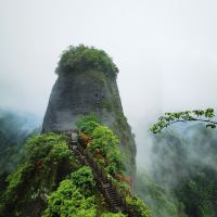評論圖片 7