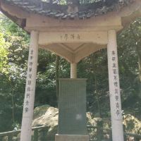 評論圖片 6