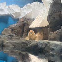 評論圖片 3