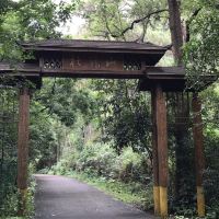 評論圖片 3