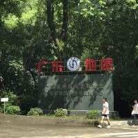 評論圖片 2