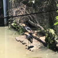 評論圖片 4