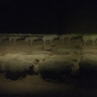 評論圖片 6