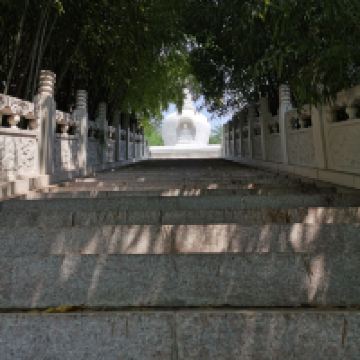 評論圖片 8