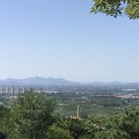 評論圖片 5