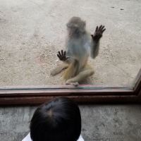 評論圖片 9