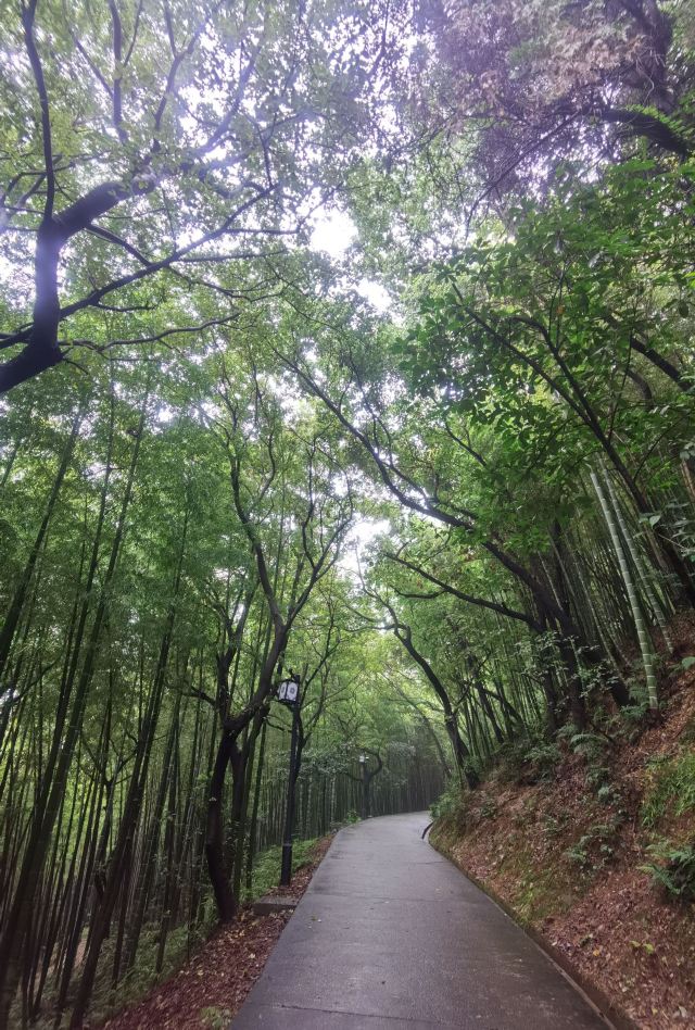 팅링 공원