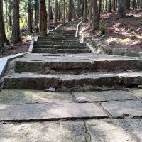 評論圖片 8