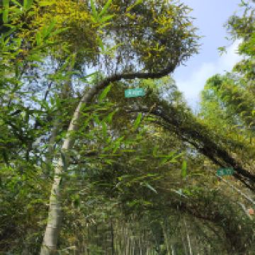 評論圖片 6