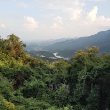 評論圖片 4
