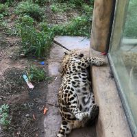 評論圖片 3