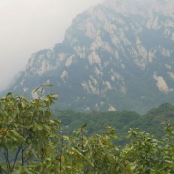 評論圖片 1