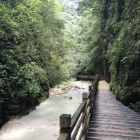 評論圖片 8