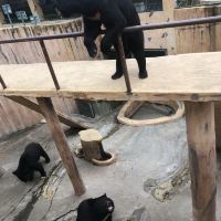 評論圖片 1