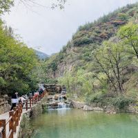 評論圖片 6