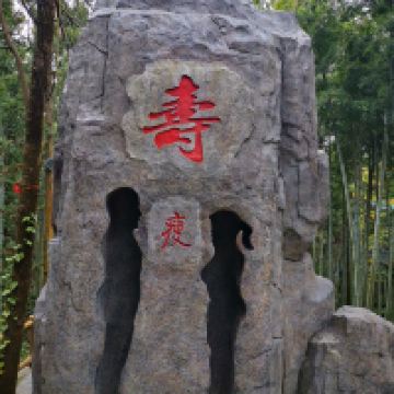 評論圖片 6