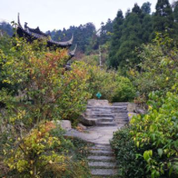 評論圖片 3