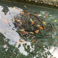評論圖片 2