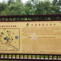 評論圖片 2