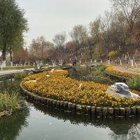 評論圖片 6