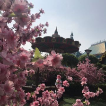 評論圖片 1