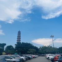 評論圖片 1