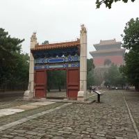 評論圖片 5