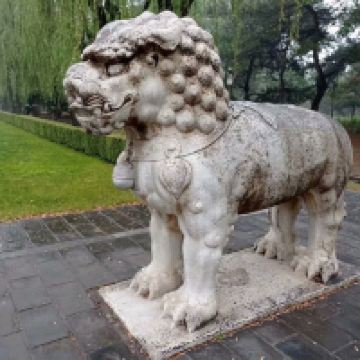 評論圖片 6