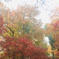評論圖片 1