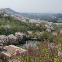 評論圖片 2