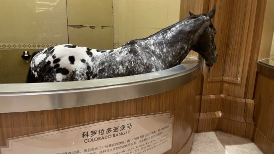 非常好的体验，能了解马的很多文化，名马馆、特展馆和体验馆值得