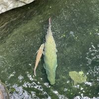 評論圖片 8