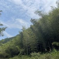 評論圖片 3