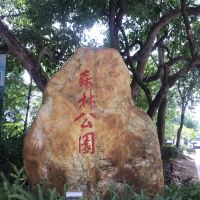 評論圖片 7