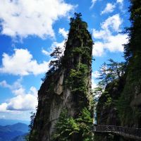 評論圖片 4