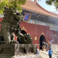 評論圖片 3