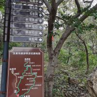 評論圖片 7