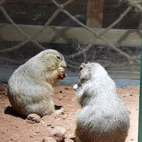評論圖片 7