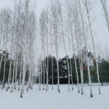 評論圖片 3