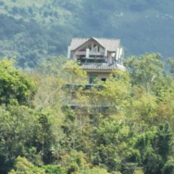 評論圖片 4