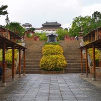 評論圖片 4