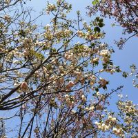 評論圖片 6