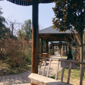 評論圖片 3