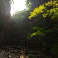 評論圖片 9