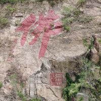 評論圖片 8