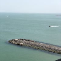評論圖片 4